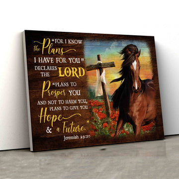 Jesus Horse For I Know The Plans I Have For You Canvas - Matte Canvas