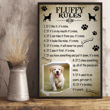 Poster fluffy rules