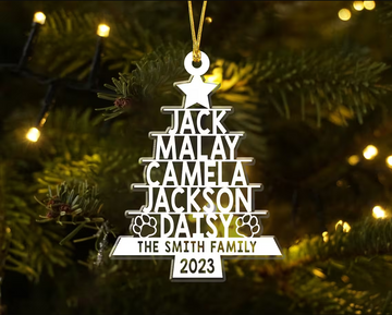 Custom Family Ornament, Family Name Christmas Tree Ornament - Personalized Transparent Acrylic Ornament