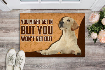 Dog Lovers You Might Get In Personalized Doormat