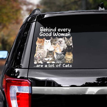 Cat Behind good woman Decal