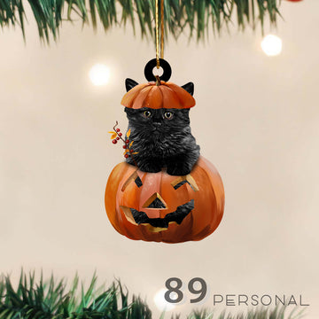 Black Cat Inside A Pumpkin Halloween Decor - Two Sided Ornament