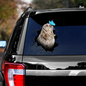 Shih Tzu with Blue Butterfly in Broken Hole Decal