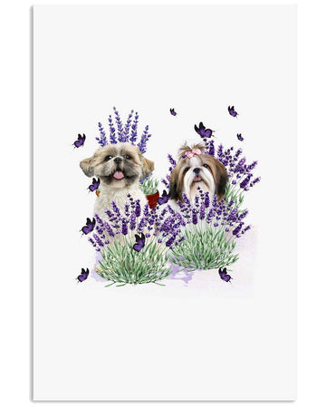 Shih-Tzu with lavender flower poster