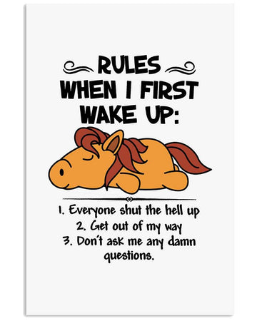 Horse rules when i first wake up funny poster