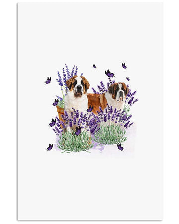 Saint Bernard with lavender flower poster