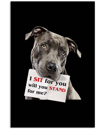 Pitbull Sit For You Will You Stand For Me poster
