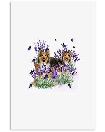 Sheltie with lavender flower poster