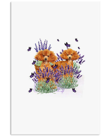 Poodle with lavender flower poster