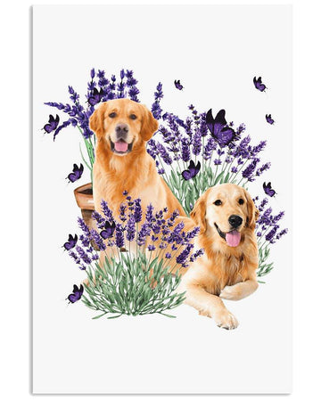 Golden Retriever with lavender flower  poster