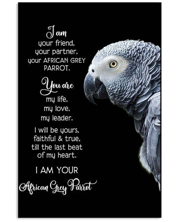 Im Yr Friend Yr Partner Your African Grey  Parrot poster