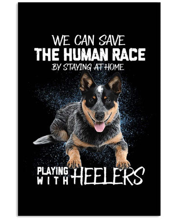 Playing with Heelers  poster
