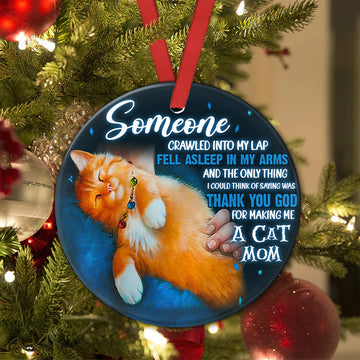 Cat Mom someone crawled into my lap, fell asleep in my arms Ceramic Ornament