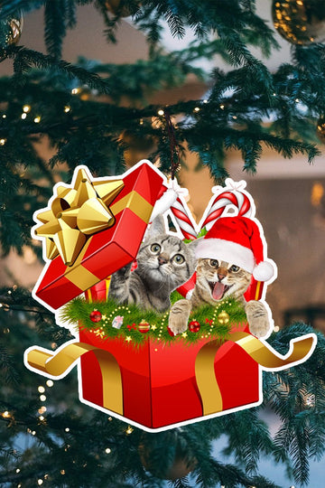 Cat in Christmas gift box Shape Ornament