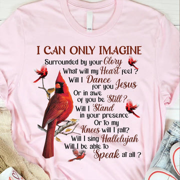 Cardinals I Can Only Imagine Jesus - Standard T-shirt