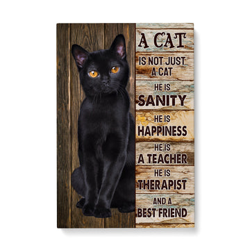 Black Cat Is Not Just A Cat Matte Canvas (1.25