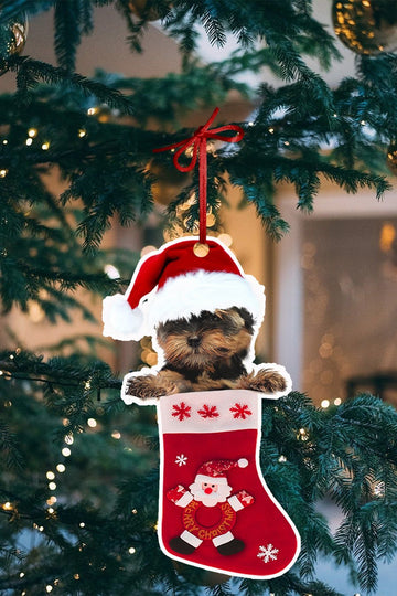 Yorkshire Terrier in a Christmas stocking Shape Ornament