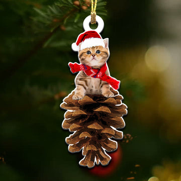 Cat Sitting on Christmas pine cone - 2 sided ornament