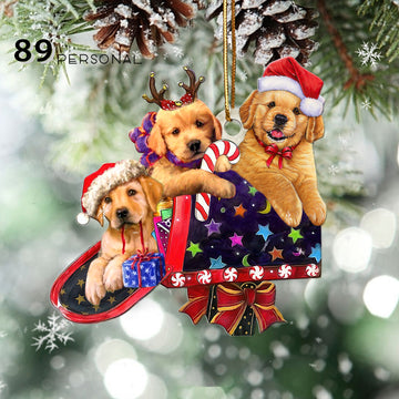 Golden Retriever Playing With Mailbox Christmas - Two Sided Ornament