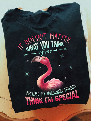 Flamingo It Doesn't Matter What You Think Of Me Standard T-Shirt