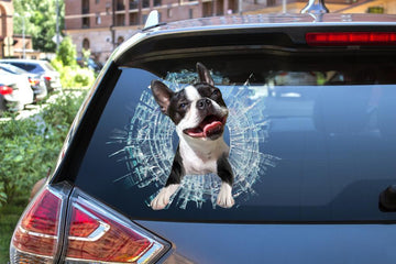 Boston terrier broken glass boston terrier lover decal