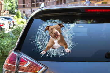 Pitbull broken glass pitbull lover  decal