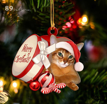 Abyssinian cat out of Merry Christmas box - Shaped two sides ornament