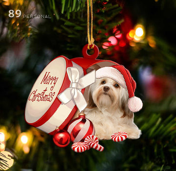 Havanese out of Merry Christmas box - Shaped two sides ornament