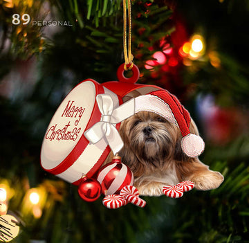 Lhasa Apso out of Merry Christmas box - Shaped two sides ornament