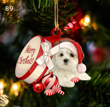 Maltese out of Merry Christmas box - Shaped Two Sides Ornament
