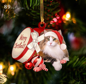 Norwegian Forest cat out of Merry Christmas box - Shaped two sides ornament