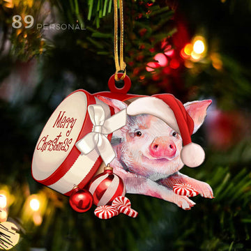 Pig Out of Merry Christmas box - Shaped two sides ornament