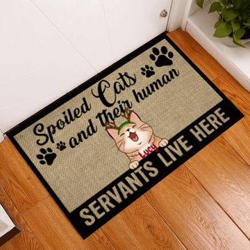Spoiled cats and their human servants doormat indoor