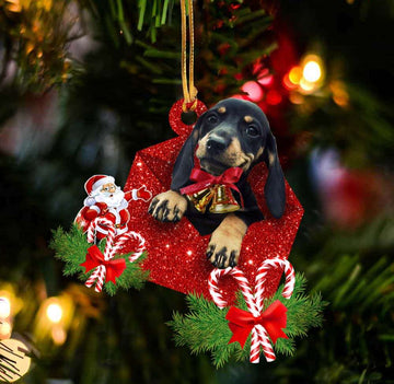 Cute Dachshund Inside The Envelope Christmas Holiday - Two Sided Ornament