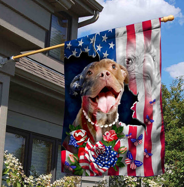 pitbull patriot america flag independence day