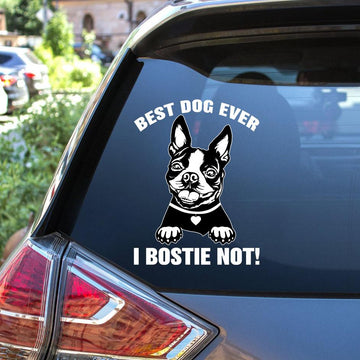 Boston Terrier Best Dog Ever Decal