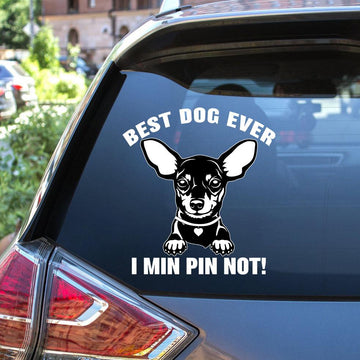 Miniature Pinscher Best Dog Ever Decal