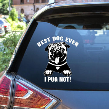 Pug Best Dog Ever Decal