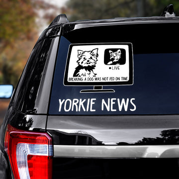 Yorkshire Terrier News A dog was not fed on time Decal