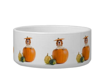 Funny Beagle In Pumpkin - Pet Bowl