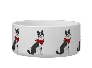 Funny Border Collie Wear Scarf - Pet Bowl