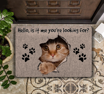 Hello it is me you're looking for  - Doormat