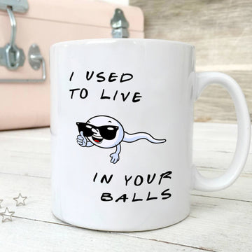 I Used To Live In Your Balls Mug Gift For Dad