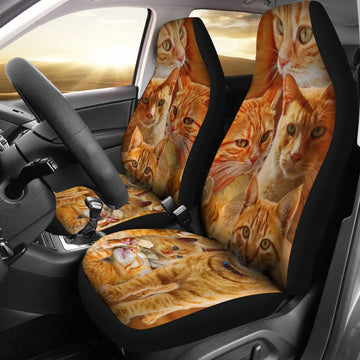Orange Tabby Cat - Car Seat Covers