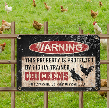 Warning This Property Is Protected By Trained Chickens - Funny Wall Art - Classic Metal Signs