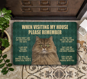 When Visiting My House Please Remember Persian Cat  - Doormat