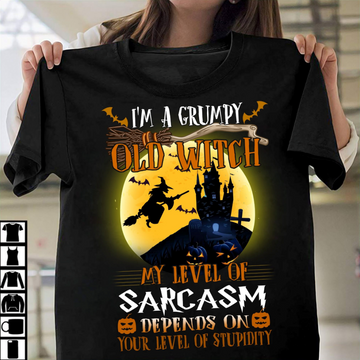 I'm A Grumpy Old Witch My Level Of Sarcasm Depends On Your Level Of Stupidity