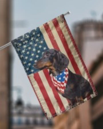 Dachshund 2 Dog American Patriot Flag Independence Day - House Flag