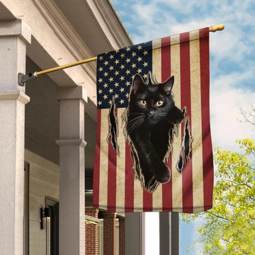 CAT SCRATCHED AMERICAN - HOUSE FLAG