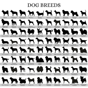 Personalized Bloodhound Mountain Dog Suncatcher Ornament Pet Memorial Suncatcher Custom Pet Name And Date Suncatcher Pet Memorial Gift